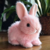 Bunnyloo – Het levensechte knuffelkonijntje dat je hart laat huppelen