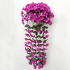 Bloemrijk Hang-Bloemen (1+1 GRATIS)